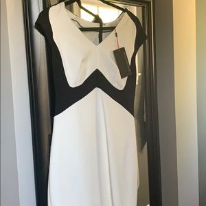 Limited Dress